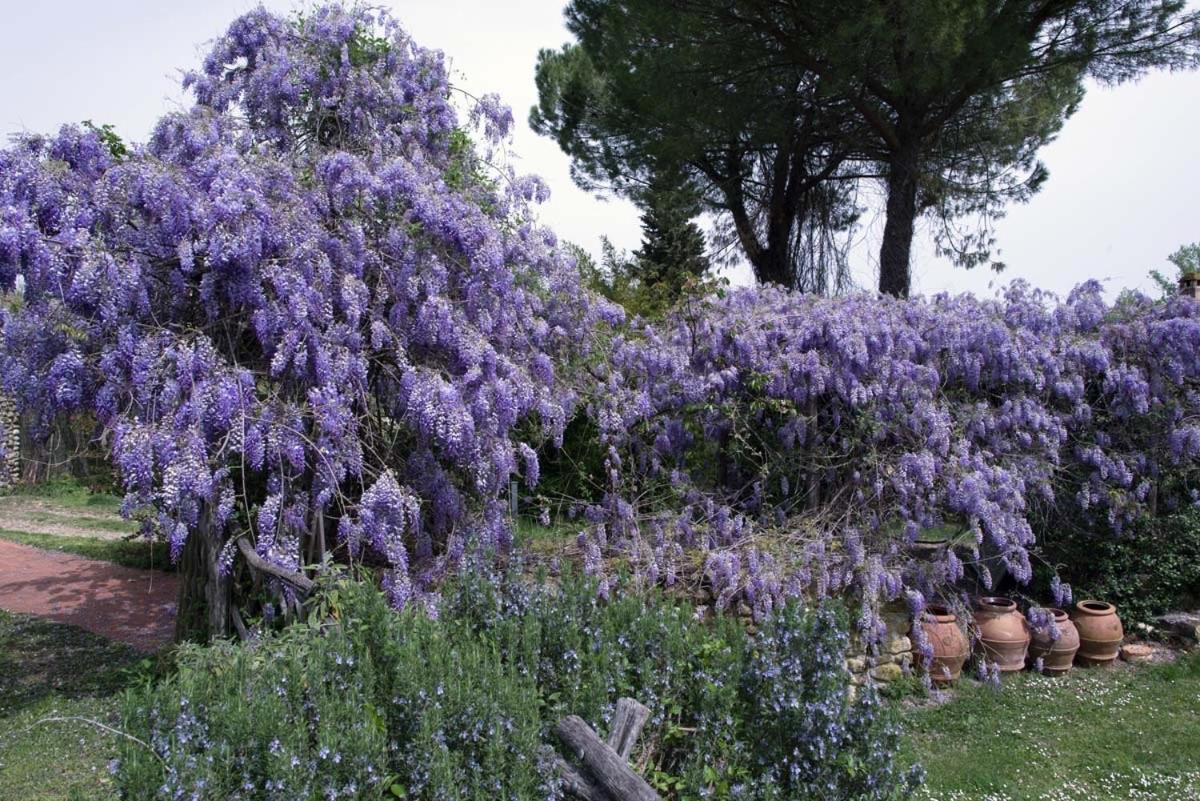Mercatale Val Di Pesa Molino In Chiantiヴィラ エクステリア 写真