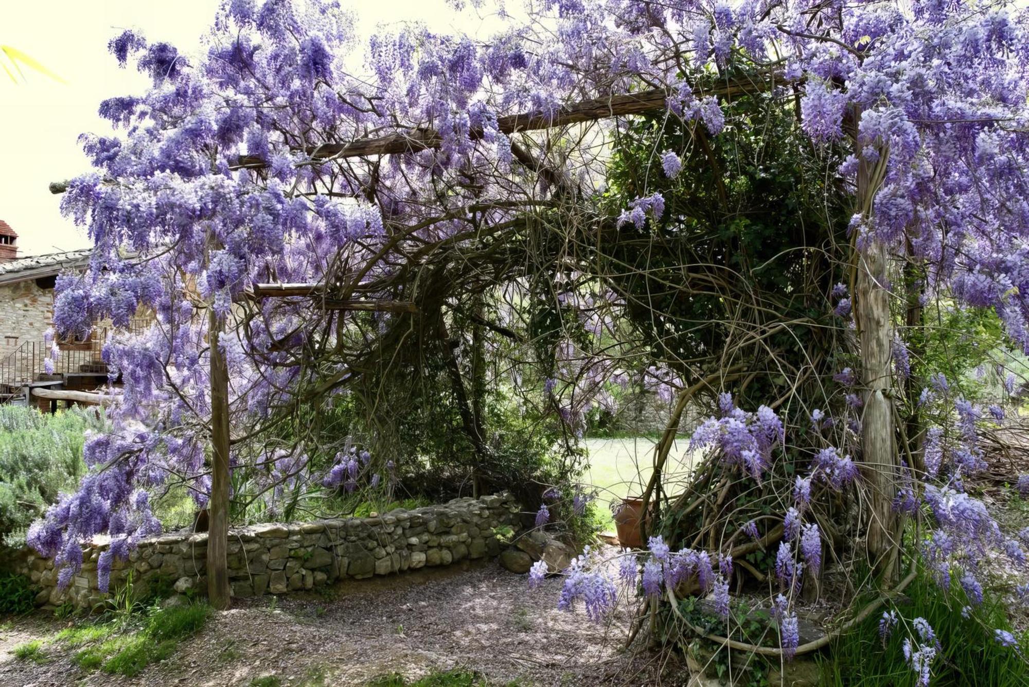 Mercatale Val Di Pesa Molino In Chiantiヴィラ エクステリア 写真